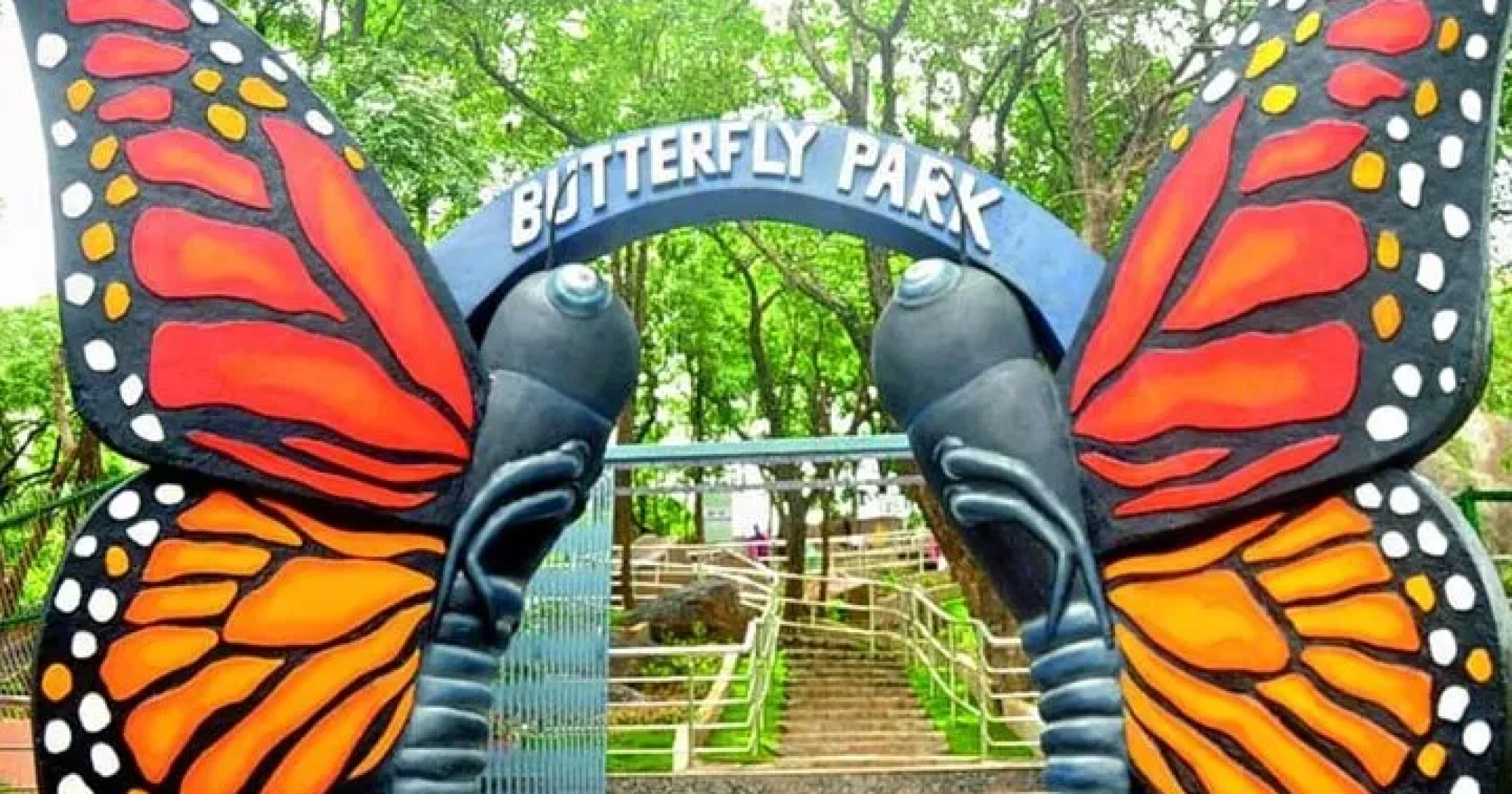 Butterfly Park